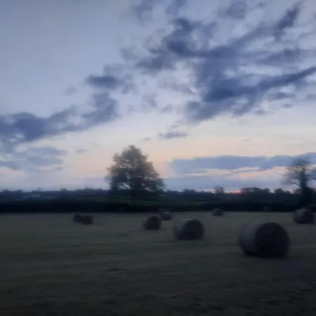 The Tin Shed Holiday home