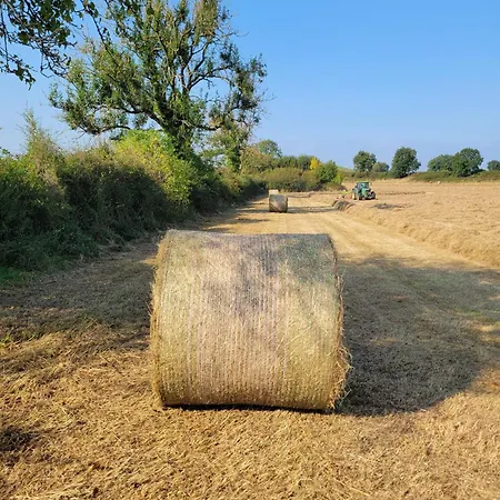 The Tin Shed بيت للعطل *