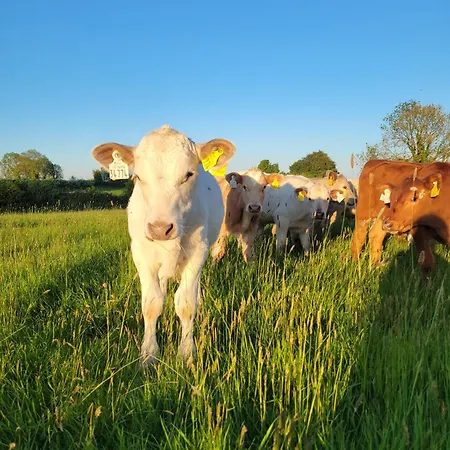 The Tin Shed Hébergement de vacances *