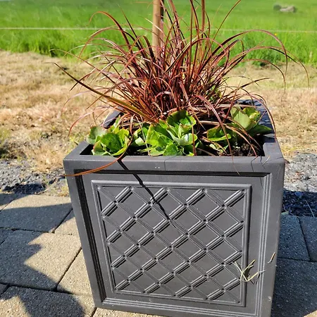 The Tin Shed بيت للعطل Tara