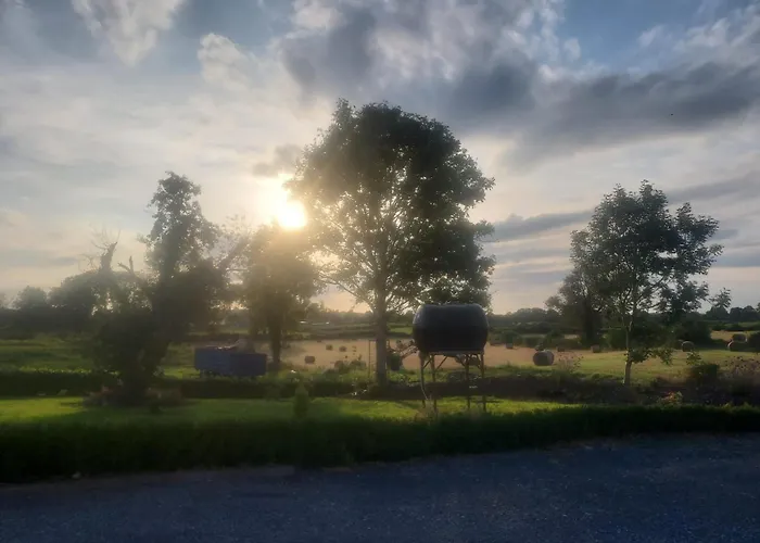 The Tin Shed *