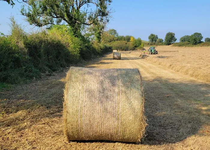 The Tin Shed Дом отдыха *