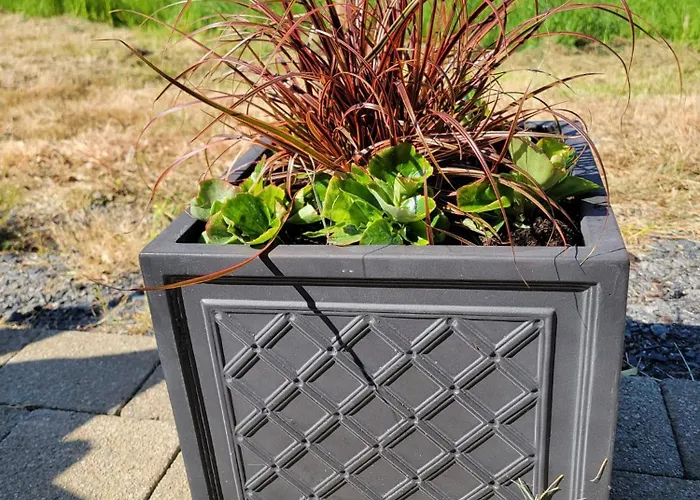 The Tin Shed Casa de Férias Tara